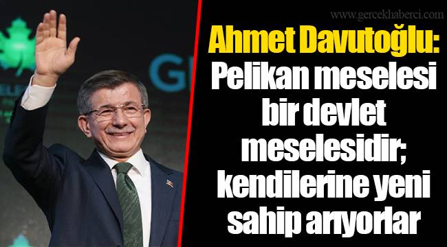 Ahmet Davutoğlu: Pelikan meselesi bir devlet meselesidir; kendilerine yeni sahip arıyorlar