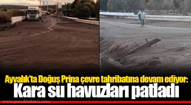 Ayvalık’ta Doğuş Prina çevre tahribatına devam ediyor: Kara su havuzları patladı