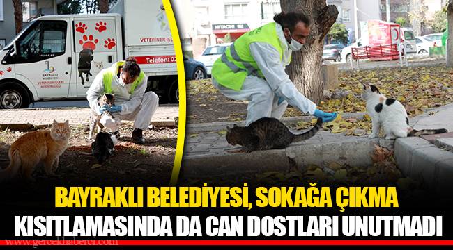BAYRAKLI BELEDİYESİ, SOKAĞA ÇIKMA KISITLAMASINDA DA CAN DOSTLARI UNUTMADI