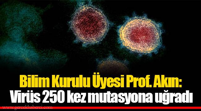 Bilim Kurulu Üyesi Prof. Akın: Virüs 250 kez mutasyona uğradı