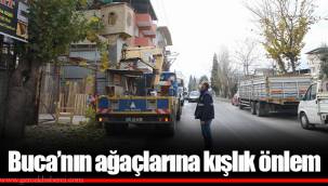 Buca’nın ağaçlarına kışlık önlem