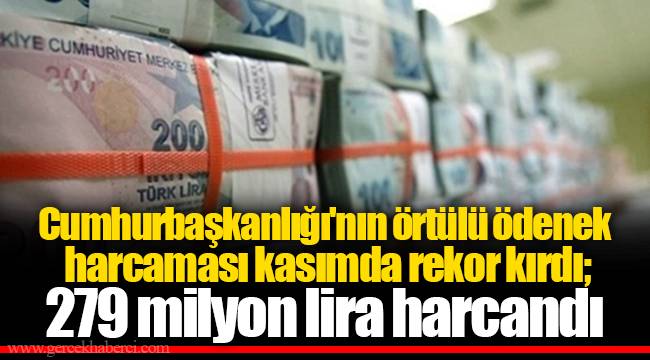 Cumhurbaşkanlığı'nın örtülü ödenek harcaması kasımda rekor kırdı; 279 milyon lira harcandı