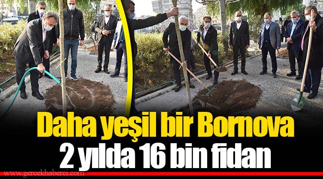 Daha yeşil bir Bornova, 2 yılda 16 bin fidan 