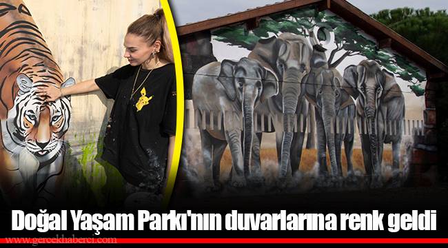 Doğal Yaşam Parkı'nın duvarlarına renk geldi
