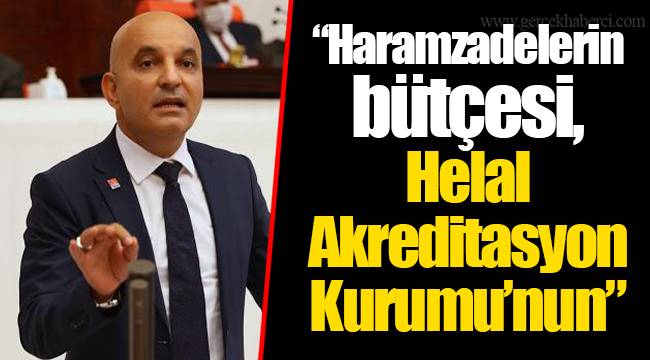 “Haramzadelerin bütçesi, Helal Akreditasyon Kurumu’nun”