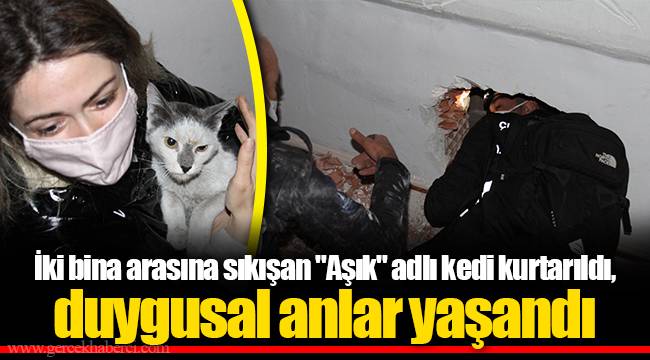 İki bina arasına sıkışan "Aşık" adlı kedi kurtarıldı, duygusal anlar yaşandı