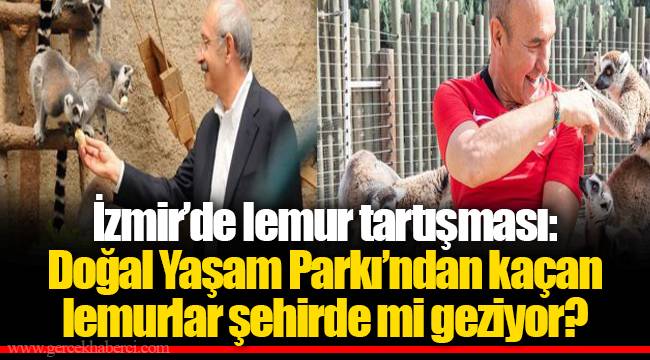 İzmir’de lemur tartışması: Doğal Yaşam Parkı’ndan kaçan lemurlar şehirde mi geziyor?