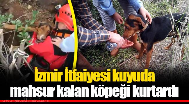 İzmir İtfaiyesi kuyuda mahsur kalan köpeği kurtardı