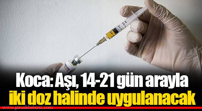Koca: Aşı, 14-21 gün arayla iki doz halinde uygulanacak
