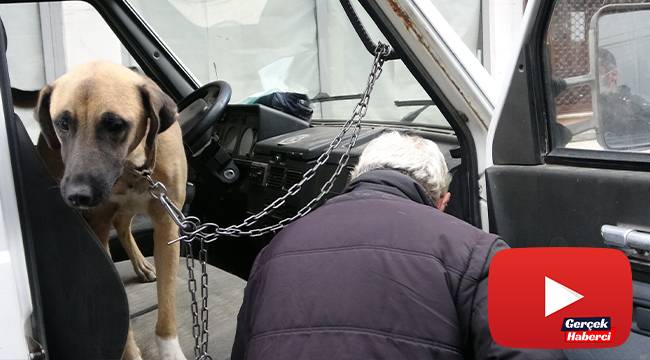 Köpeğini karavanda zincirle bağladı, gazetecilere 'niye çekiyorsunuz' diye saldırdı