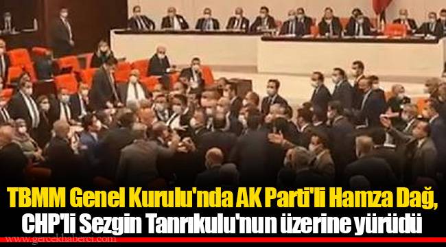 TBMM Genel Kurulu'nda AK Parti'li Hamza Dağ, CHP'li Sezgin Tanrıkulu'nun üzerine yürüdü