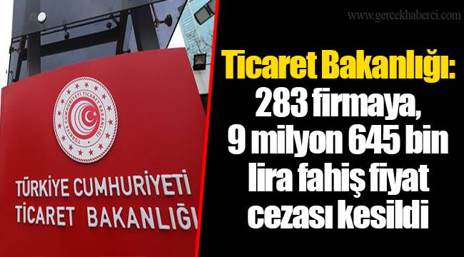 Ticaret Bakanlığı: 283 firmaya, 9 milyon 645 bin lira fahiş fiyat cezası kesildi