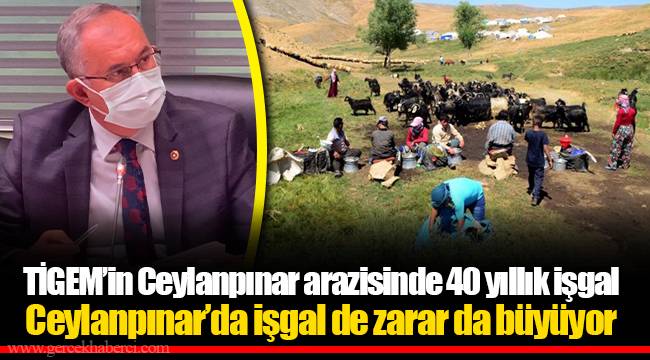 TİGEM'in Ceylanpınar arazisinde 40 yıllık işgal
