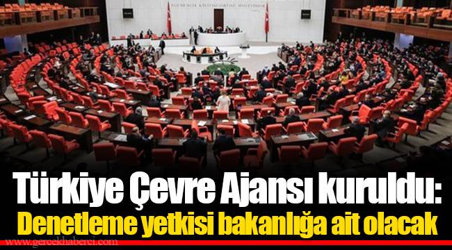 Türkiye Çevre Ajansı kuruldu: Denetleme yetkisi bakanlığa ait olacak