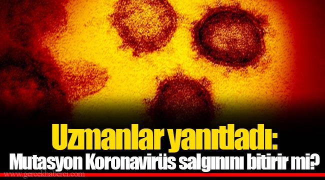 Uzmanlar yanıtladı: Mutasyon Koronavirüs salgınını bitirir mi?