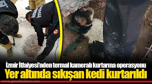 Yer altında sıkışan kedi kurtarıldı