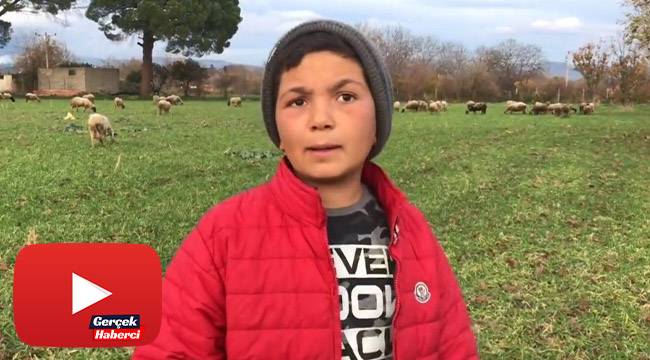 12 yaşındaki küçük çoban videolarındaki diyalogları ile sosyal medyanın yeni fenomeni oldu