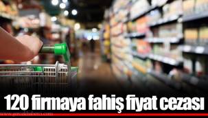 120 firmaya fahiş fiyat cezası