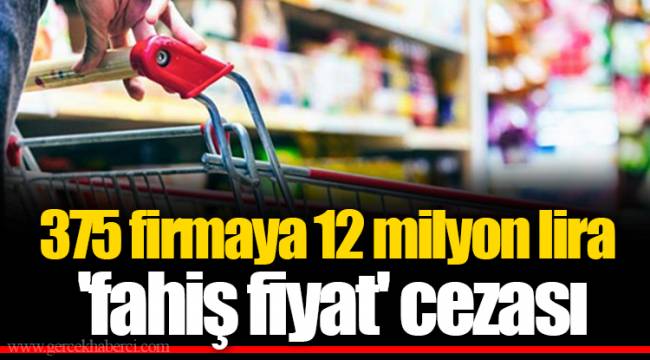 375 firmaya 12 milyon lira 'fahiş fiyat' cezası