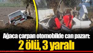 Ağaca çarpan otomobilde can pazarı: 2 ölü, 3 yaralı