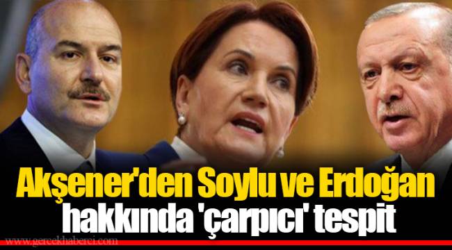 Akşener'den Soylu ve Erdoğan hakkında 'çarpıcı' tespit