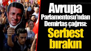 Avrupa Parlamentosu'ndan Demirtaş çağrısı: Serbest bırakın