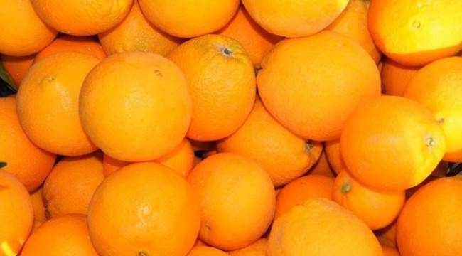 Bagaj ücreti ödememek için 30 kilo portakalı yediler