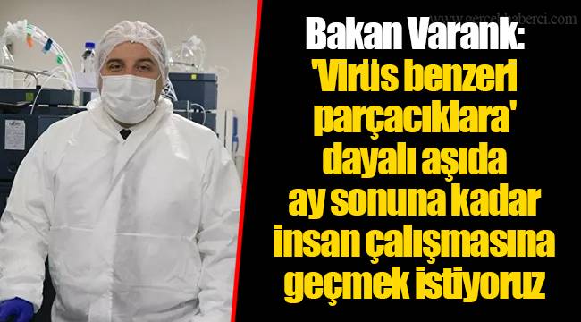 Bakan Varank: 'Virüs benzeri parçacıklara' dayalı aşıda ay sonuna kadar insan çalışmasına geçmek istiyoruz
