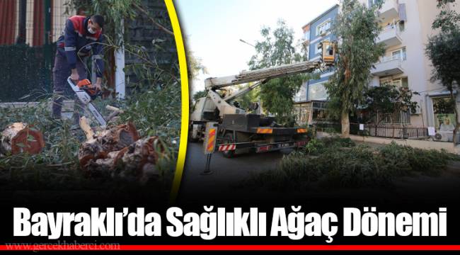 Bayraklı’da Sağlıklı Ağaç Dönemi
