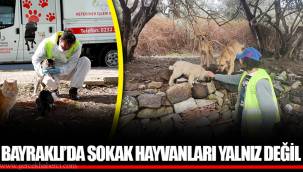 BAYRAKLI’DA SOKAK HAYVANLARI YALNIZ DEĞİL