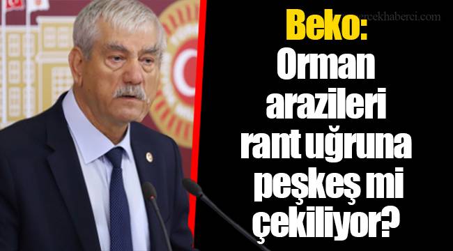 Beko: Orman arazileri rant uğruna peşkeş mi çekiliyor?