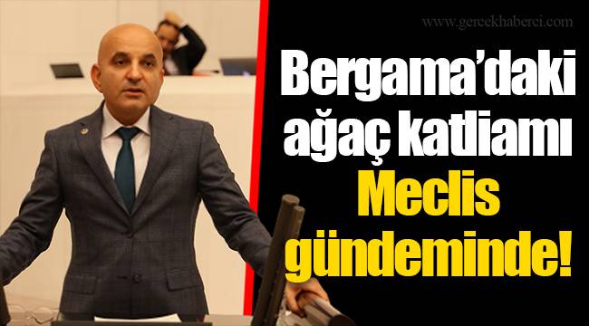 Bergama’daki ağaç katliamı Meclis gündeminde!