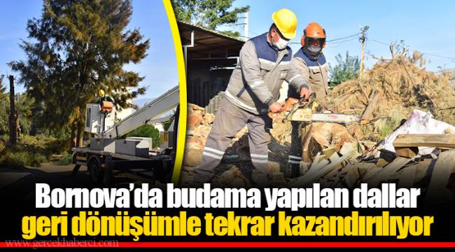Bornova’da budama yapılan dallar geri dönüşümle tekrar kazandırılıyor
