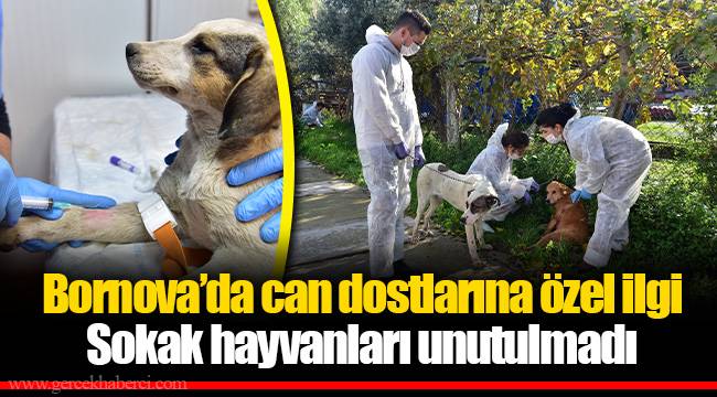 Bornova’da can dostlarına özel ilgi