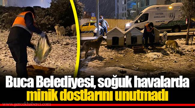 Buca Belediyesi, soğuk havalarda minik dostlarını unutmadı