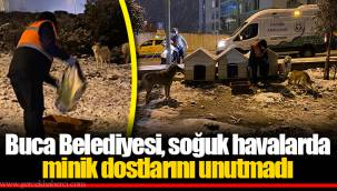 Buca Belediyesi, soğuk havalarda minik dostlarını unutmadı