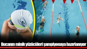 Bucanın minik yüzücüleri şampiyonaya hazırlanıyor