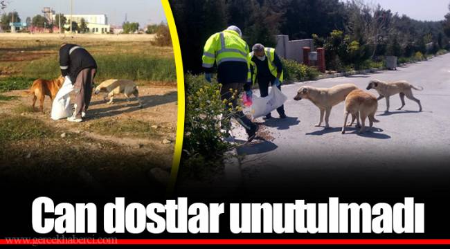Can dostlar unutulmadı