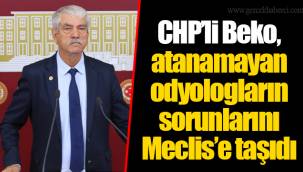 CHP’li Beko, atanamayan odyologların sorunlarını Meclis’e taşıdı