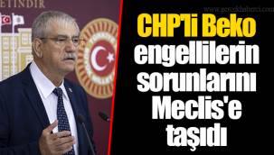 CHP'li Beko engellilerin sorunlarını Meclis'e taşıdı