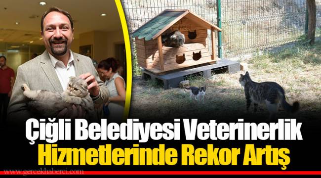 Çiğli Belediyesi Veterinerlik Hizmetlerinde Rekor Artış