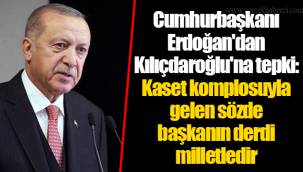 Erdoğan: Türkiye yüzde 9,9 oranında daraldı