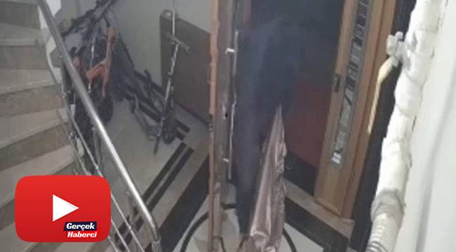 Eve giren hırsızın televizyon çaldığı anlar kamerada
