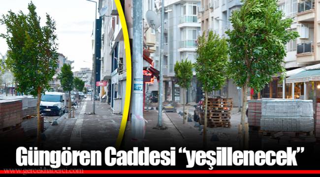 Güngören Caddesi “yeşillenecek”