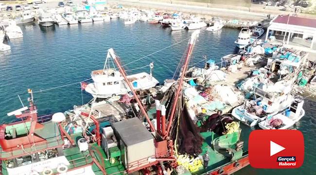 Hamsi avına yasak sonrası balıkçılar limana demir attı