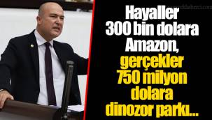 Hayaller 300 bin dolara Amazon, gerçekler 750 milyon dolara dinozor parkı…