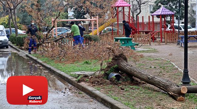 Hortum ağaçları kökünden söktü, çatıları uçurdu