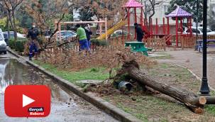 Hortum ağaçları kökünden söktü, çatıları uçurdu