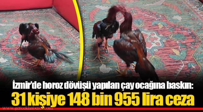 İzmir’de horoz dövüşü yapılan çay ocağına baskın: 31 kişiye 148 bin 955 lira ceza
