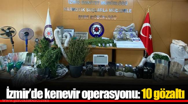 İzmir’de kenevir operasyonu: 10 gözaltı